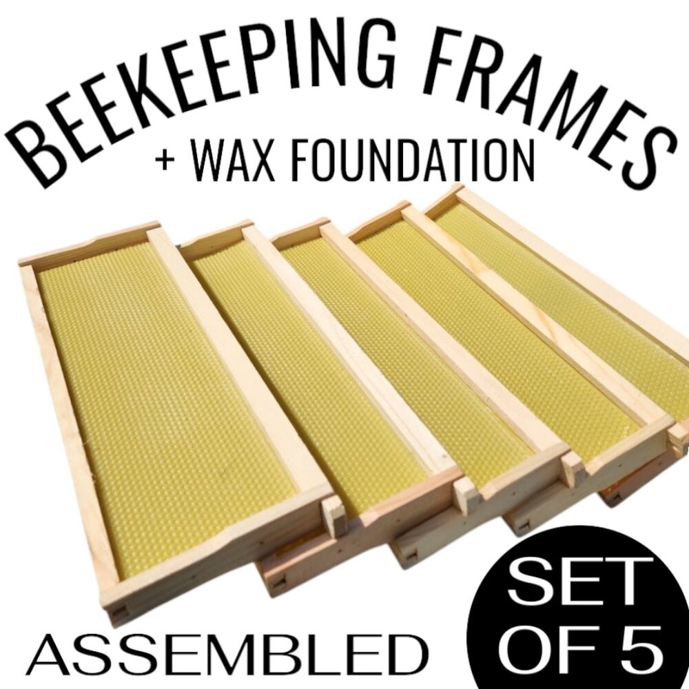 Beekeeping Equipment 5 Medium Frames + 5 Wax Foundation ASSEMBLED For Super Boxe
